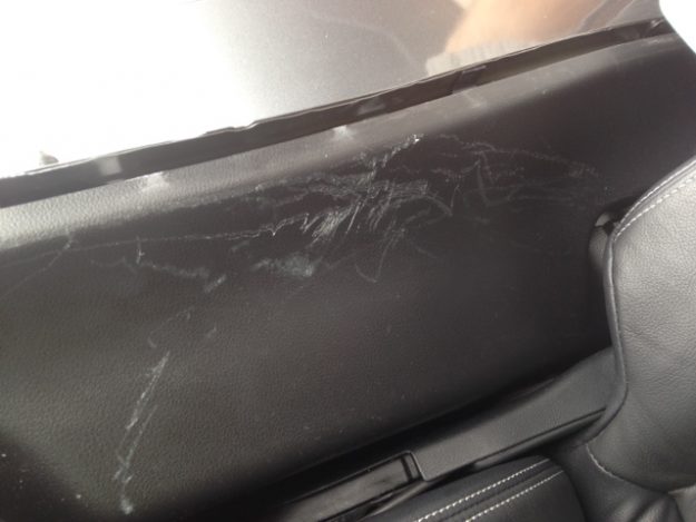 Dog damaged dash